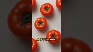 About Tomatoes #information #didyouknow #youtubeshorts #tomato #tomatoes #ketchup