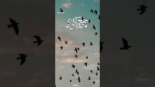 💚New Jumma mubarak WhatsApp Status Video❤️ #jumma#islamic#malayalam#kerala #New_Jumua_status_video/💚