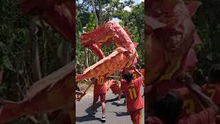 #viral #dragonball #hutri78 #shortvideo #karnaval #gabahayata