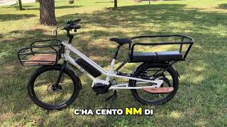 Cargo Bike Innovativa per il Trasporto dei Bambini: Sicurezza e Stile!