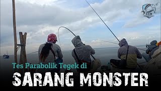 Mancing Baronang Monster, Uji Parabolik Tegek di Sarang Monster