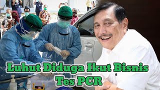 Luhut Diduga Ikut Bisnis Tes PCR