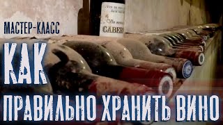 Как правильно хранить вино? Секреты и советы