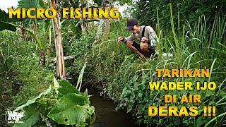 MICRO FISHING | mancing sebentar sebelum hujan...pas ikan rakus makannya #mancingnilem #mancingwader