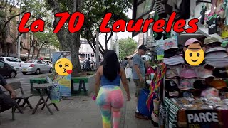 Приходите исследовать бульвар 70 Laureles в Медельине, Колумбия!