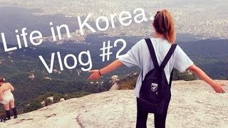 My life in Korea. Vlog #2!!!!!!!!