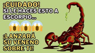 10 Cosas Que ENFURECEN a Escorpio 😱😱😱