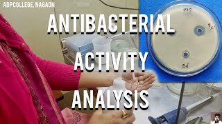 Antibacterial Activity Analysis Against Bacillus Subtilis & Escherichia coli | Achinta Medhi