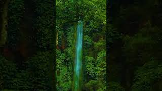 Waterfall#shorts #youtubeshorts #viral #viralvideo