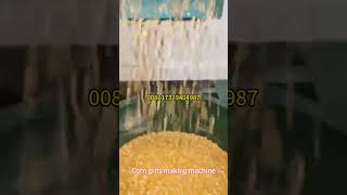 Corn grits making machine