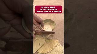 utilize dry leaves #vidioviral