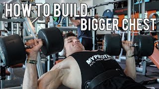 How To Build A Big Chest w/ Commentary | Praying Mantas