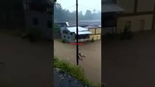 banjir