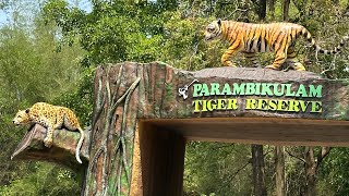 Parambikulam Tiger Reserve forest - Kannimara Teak #parambikulam #youtube #youtubevideo #forest #yt