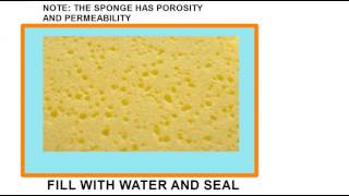 SPONGE IN BAG