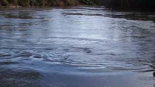 Water Flow: Harmonics of Hydrology (6042)