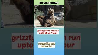 fact 86, fast running of grizzly bear