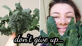 MY STORY:HOW I GREW KALE🌱 Permaculture Organic Garden