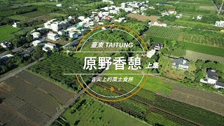 臺東原野香憩(上集)｜舌尖上的風土食旅，野菜採集手作料理、原住民私房酒釀、鹿野星空餐桌，紅烏龍風味旅行!