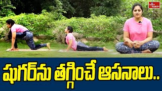 షుగర్ ను తగ్గించే ఆసనాలు.. | Yoga Poses For Diabetes | hmtv healthplus