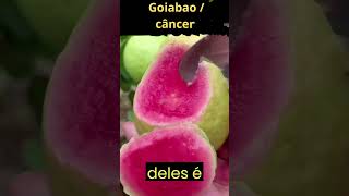 Goiaba pode atuar no combate ao câncer. #shortvideo  #remedionatural #antioxidantes