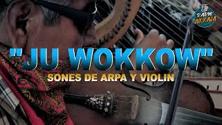 SON DE ARPA Y VIOLÍN - JU WOKKOW