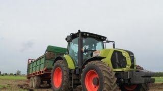 Pierwsza praca- NOWY NABYTEK- Claas Arion 650- wywóz kurzaka- Massey Ferguson 6480- JCB