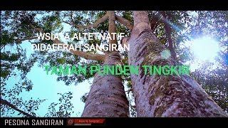 Punden Tingkir Sangiran Official