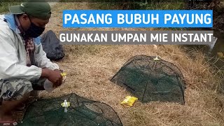 PERCOBAAN PASANG BUBU PAYUNG PAKAI UMPAN MIE INSTANT