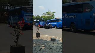 bus putra remaja.  terminal Jombor jogjakarta