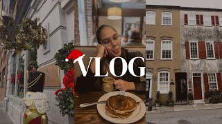 Vlog da rotina morando nos EUA | + Decorações de natal, comprinhas no mercado, Downtown Charleston