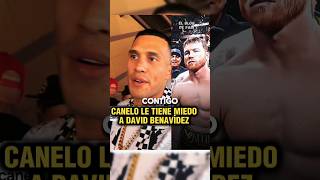 Benavídez sabe que el Canelo le tiene miedo #shorts #box #viral #canelo