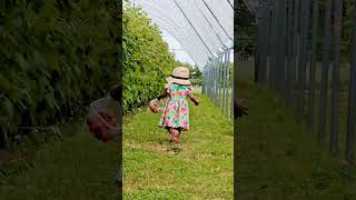 #strawberryfarm #cutebaby #strawberrypicking #cutegirl #beautifulnature #beautiful #cute