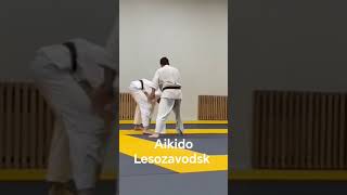 aikido Lesozavodsk