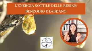 L'ENERGIA SOTTILE DELLE RESINE: BENZOINO E LABDANO