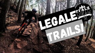 NEUE LEGALE TRAILS IM PFÄLZERWALD?! | Propain Tyee | 2024 | MTB Enduro