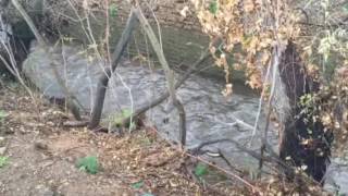 Bownhill Creek flowing at Selby St