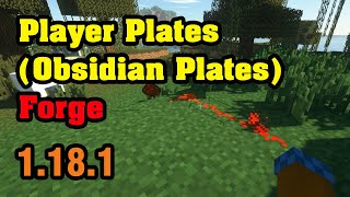 Player Plates Obsidian Plates (Forge) Mod 1.18.1 & Tutorial Downloading And Installing For Minecraft