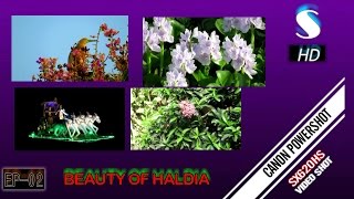 Beautiful Surrounding of Haldia Township in Full HD