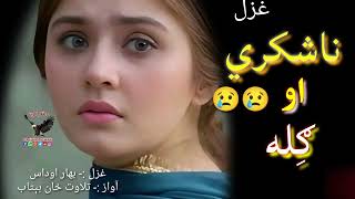 دا خو یو ته یې چي جرګي درپسي زه درلیږم 😢😢||Pashto heartbroken poetry||Very sad poetry||Shairi pashto