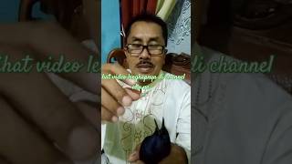 gada lawan burung Kacer pak de gacor di tangan #shorts