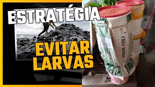 #Estrategia  para evitar larvas de bigatos