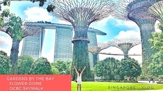 Autumn Display 2017 - Singapore Gardens-by-the-bay, Flower Dome & OCBC skywalk,