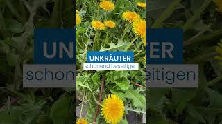 Unkraut umweltschonend entfernen! Link in der Caption! #unkraut #gartenpflege #gartentipps