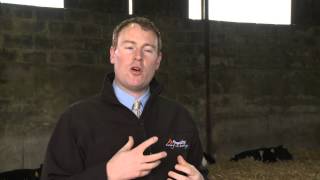 GAIN  Ruminant Feeds - Protect Against Pathogenic Bacteria & Increase Growth Rates