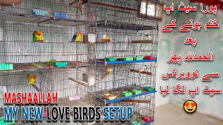 میرا نیا لوو برڈس کا سیٹ اپ | FINALLY NEW LOVE BIRDS SETUP LAGA LIYA 😍 | AA BIRDS INFORMATION