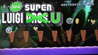 New Super Luigi U - Episode 7 [Cassisbroers]