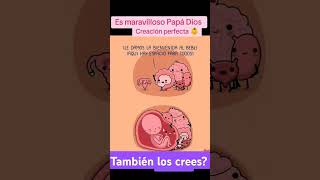 También lo crees Mamá y Papá? #bebes #maternidad #amor