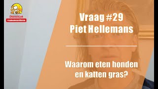 Vraag #29 DierenLot - Piet Hellemans