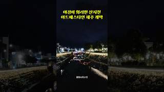 아트페스타인 제주 동문시장 산지천 야경명소